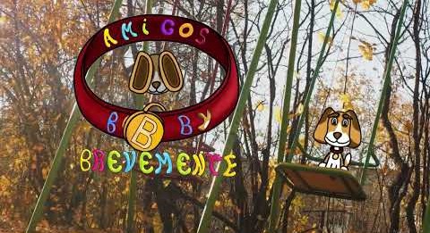 AdB Teaser Thumbnail